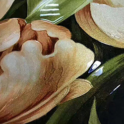 �������²�